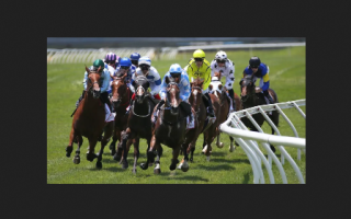 Horse Racing Betting Guide