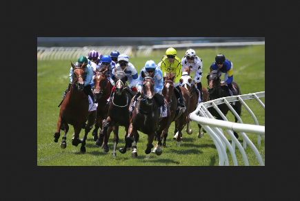 Horse Racing Betting Guide