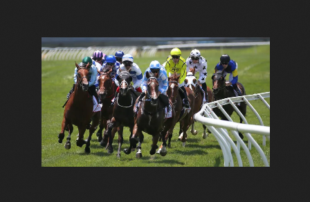 Horse Racing Betting Guide